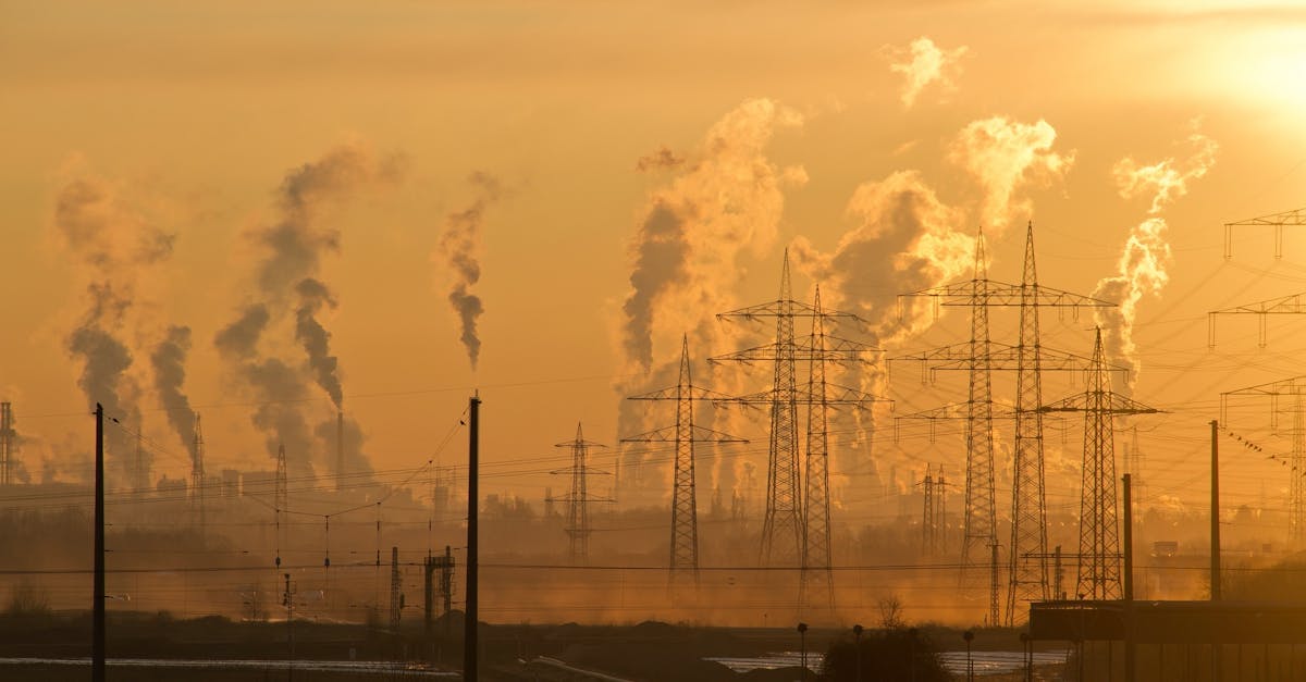découvrez les enjeux du changement climatique, ses impacts sur notre planète et les actions nécessaires pour préserver notre environnement. informez-vous sur les solutions durables et engagez-vous pour un avenir meilleur.