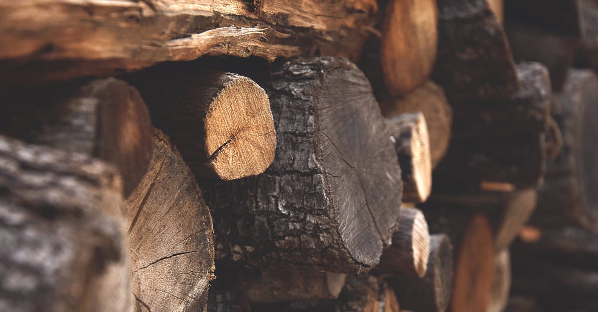 découvrez les enjeux de la déforestation, une menace majeure pour notre planète, ses écosystèmes et la biodiversité. informez-vous sur les causes, les conséquences et les solutions pour préserver nos forêts et combattre le changement climatique.