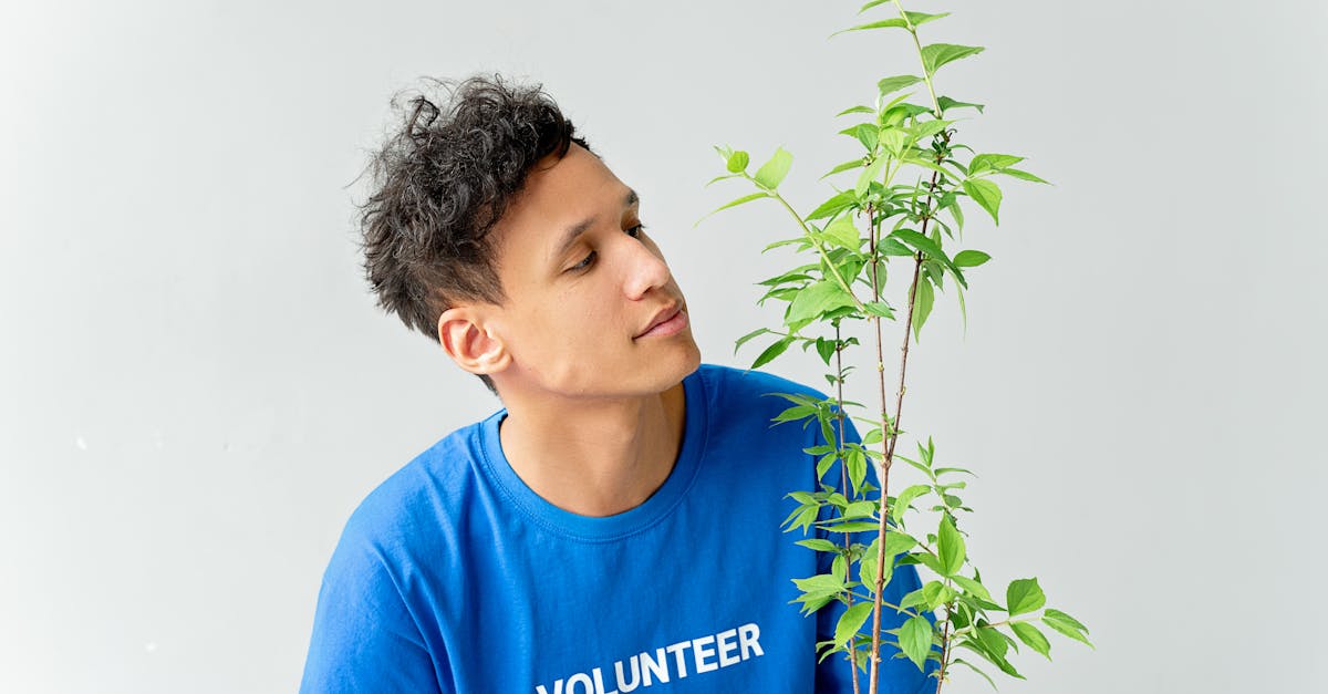 découvrez l'importance de la reforestation pour notre planète. apprenez comment la restauration des forêts contribue à la lutte contre le changement climatique, préserve la biodiversité et améliore la qualité de l'air. engagez-vous dans des initiatives locales et mondiales pour un avenir durable.