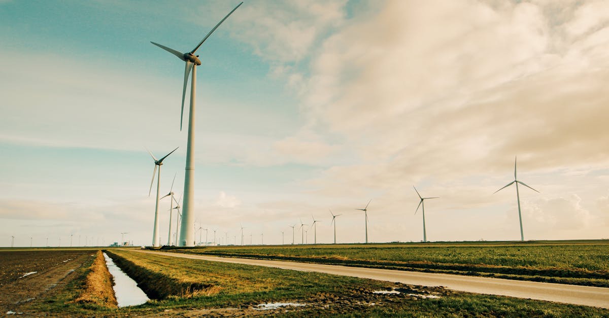 découvrez les avantages et les innovations de l'énergie renouvelable. apprenez comment cette source d'énergie durable contribue à un avenir plus vert et à la lutte contre le changement climatique.