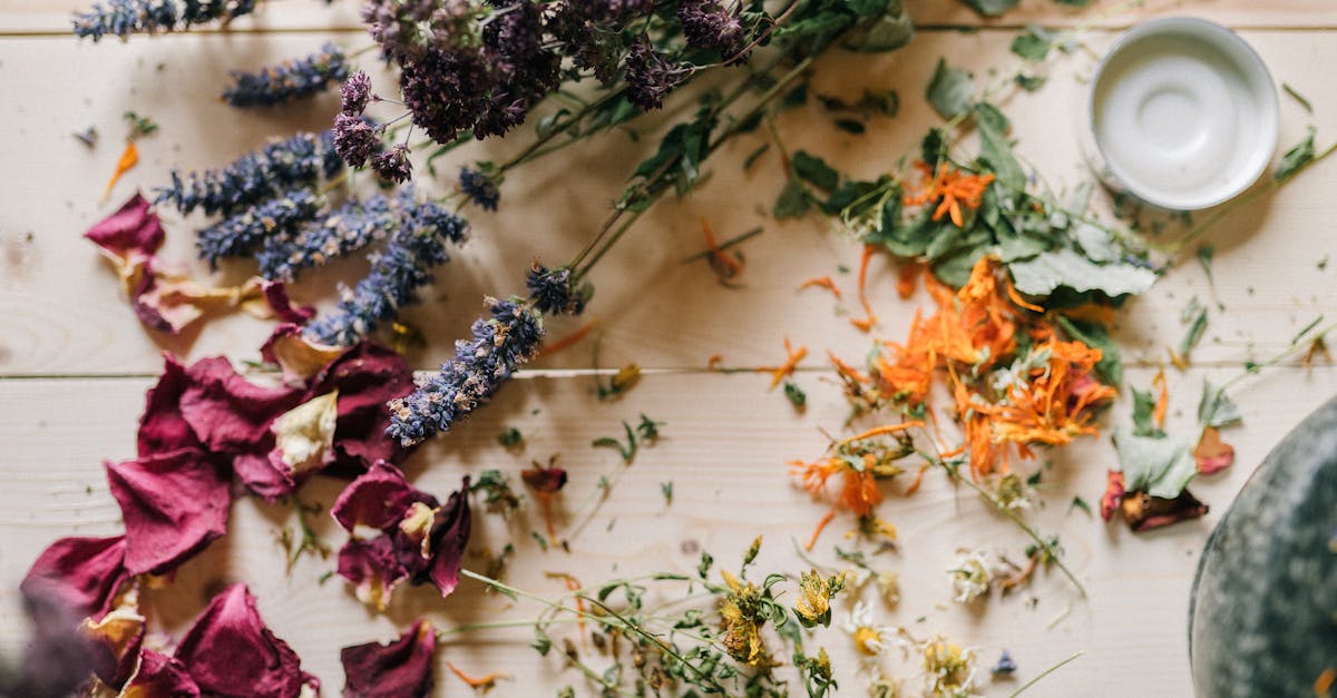 découvrez des alternatives durables pour un mode de vie éco-responsable. explorez des solutions innovantes et respectueuses de l'environnement pour réduire votre empreinte écologique tout en préservant le confort et le style. ensemble, construisons un avenir plus vert.