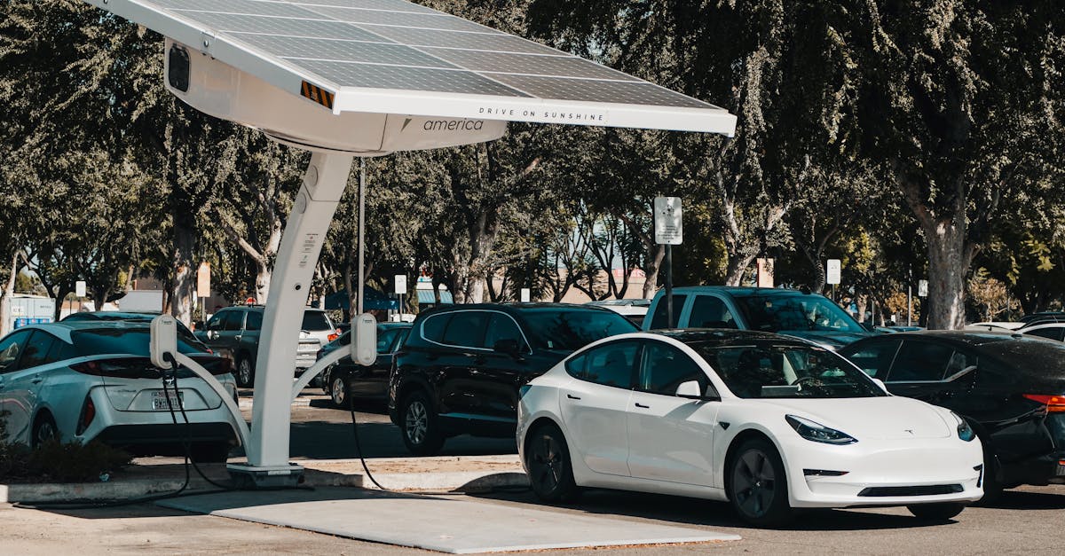 découvrez des alternatives durables et respectueuses de l'environnement pour un mode de vie éco-responsable. explorez des solutions innovantes et accessibles qui contribuent à préserver la planète tout en répondant à vos besoins quotidiens.