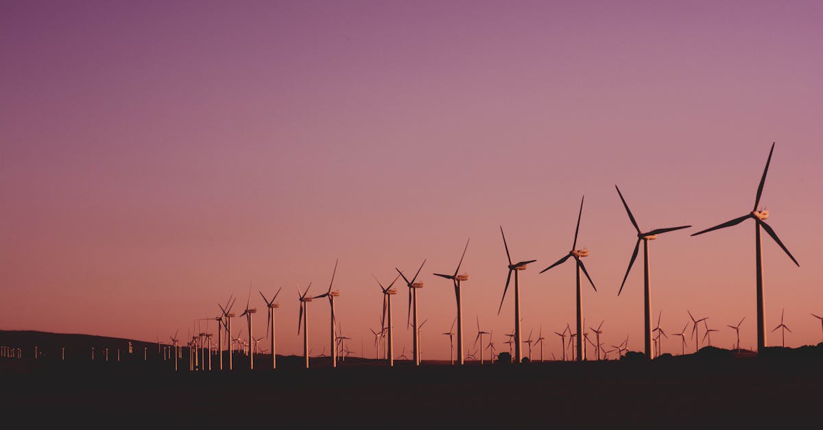 découvrez comment le développement durable transforme notre monde en équilibrant croissance économique, protection de l'environnement et équité sociale. explorez les initiatives et les pratiques qui favorisent un avenir plus respectueux des ressources pour les générations futures.