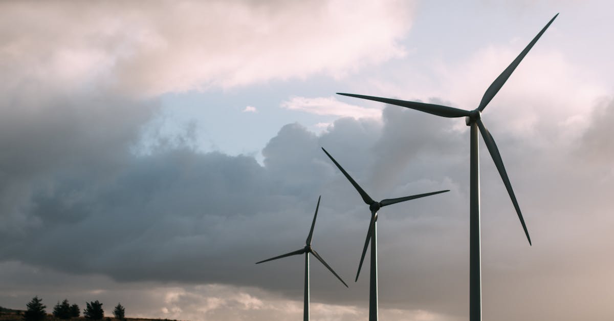 découvrez les enjeux du développement durable, une approche essentielle pour concilier croissance économique, préservation de l'environnement et bien-être social. explorez nos solutions innovantes pour un avenir plus responsable.