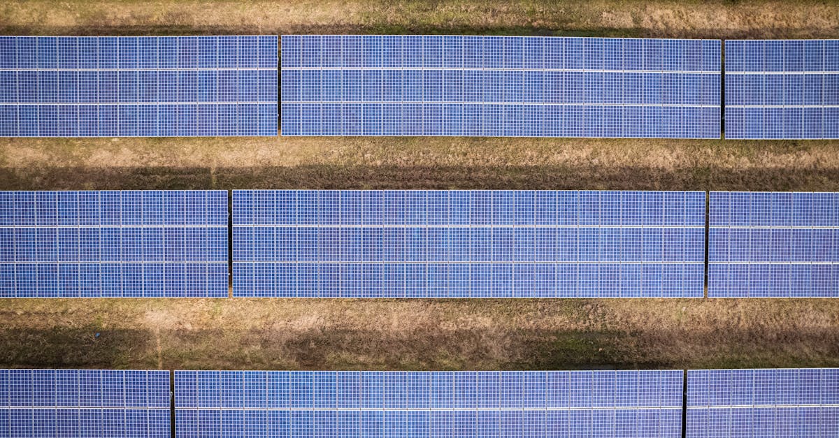 découvrez les principes du développement durable, une approche équilibrée entre la croissance économique, la protection de l'environnement et le bien-être social. explorez des stratégies innovantes et des initiatives qui favorisent un avenir responsable et respectueux des ressources de notre planète.