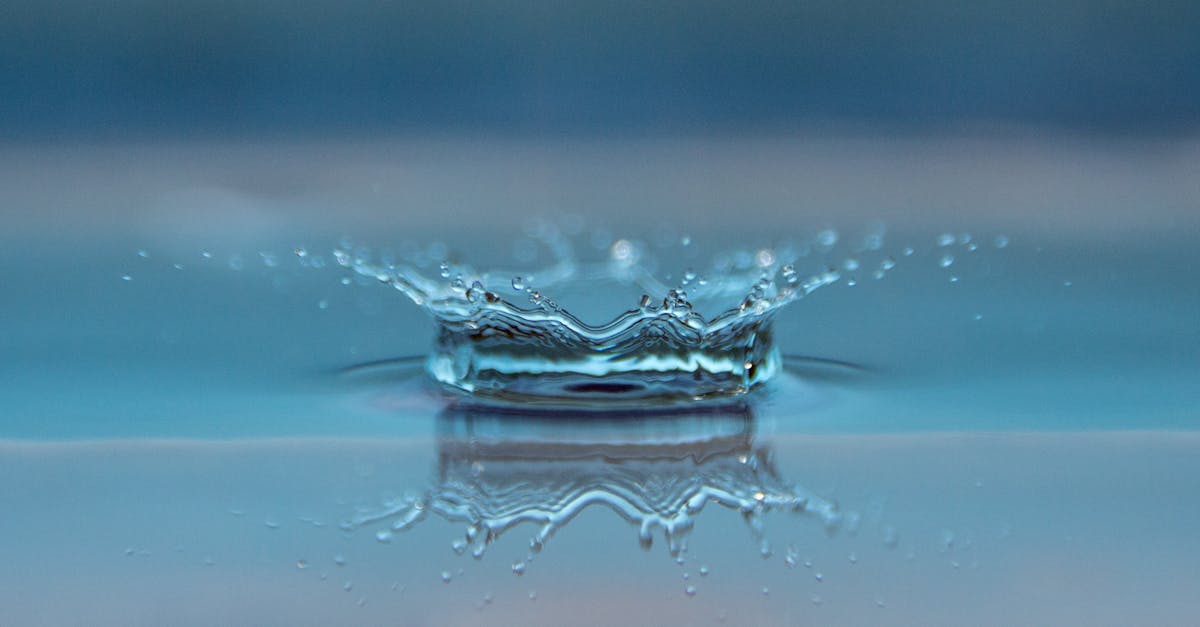 découvrez l'importance de l'eau pour notre planète et notre santé. explorez ses propriétés, son rôle dans les écosystèmes, et apprenez comment préserver cette précieuse ressource pour les générations futures.