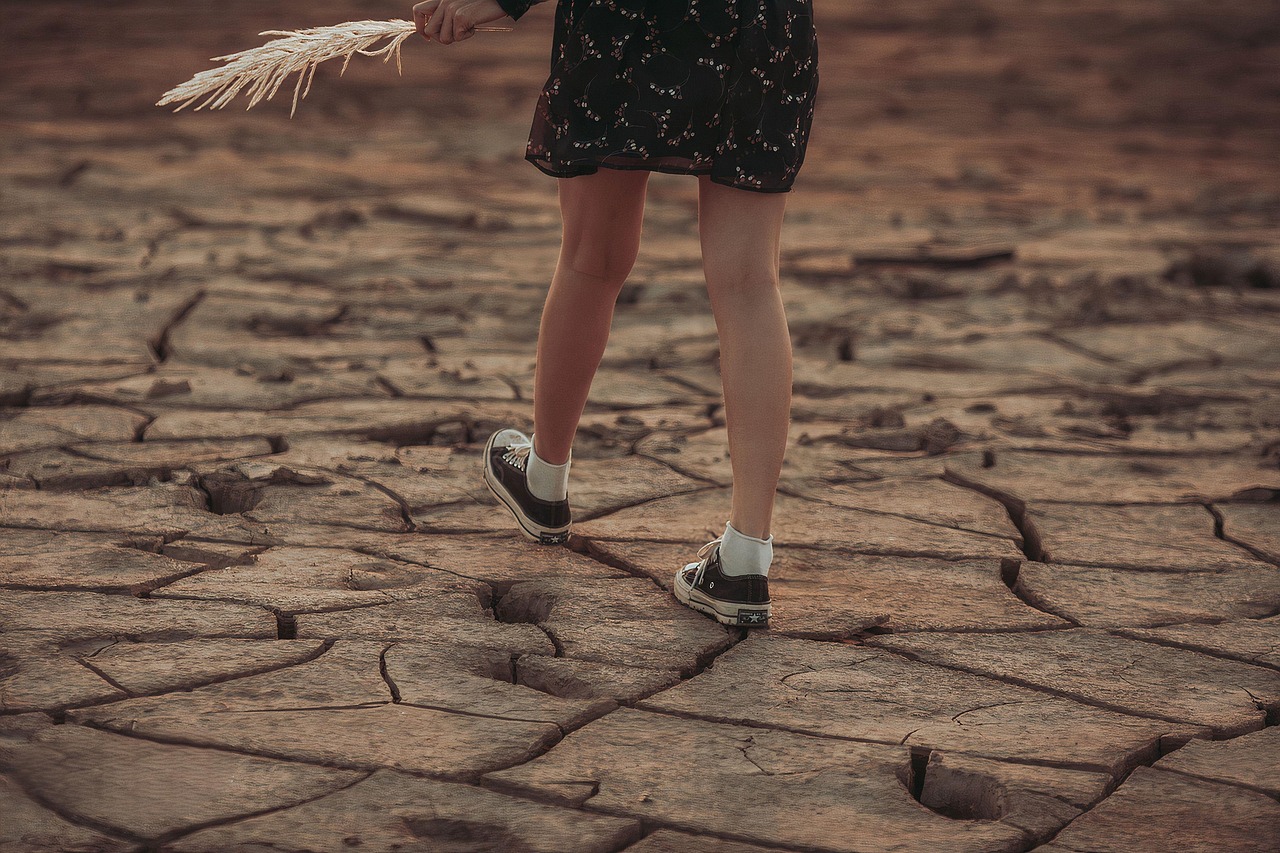 découvrez les impacts du changement climatique sur notre planète, les causes profondes de ce phénomène mondial et les solutions possibles pour lutter contre ses effets néfastes. informez-vous et agissez pour un avenir durable.
