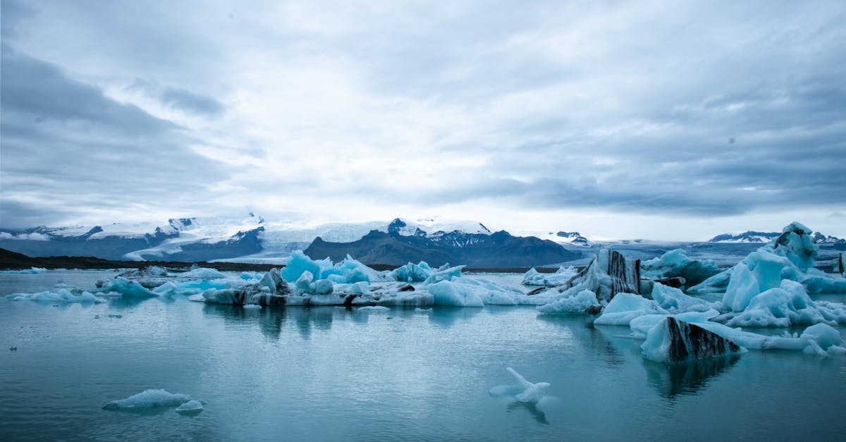 découvrez l'impact du changement climatique sur notre planète, les causes et les solutions pour un avenir durable. informez-vous sur les actions à entreprendre pour lutter contre le réchauffement climatique et préserver notre environnement.