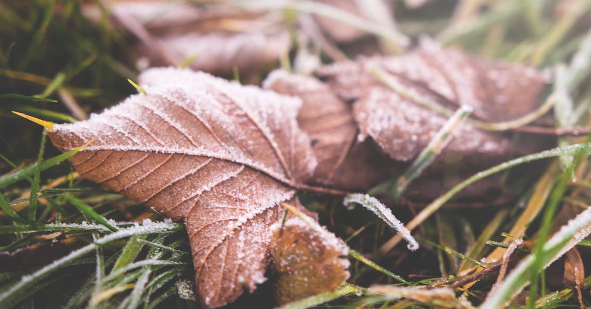découvrez des stratégies efficaces pour lutter contre le changement climatique. apprenez comment les gouvernements, les entreprises et les citoyens peuvent s'unir pour réduire les émissions de carbone et protéger notre planète.