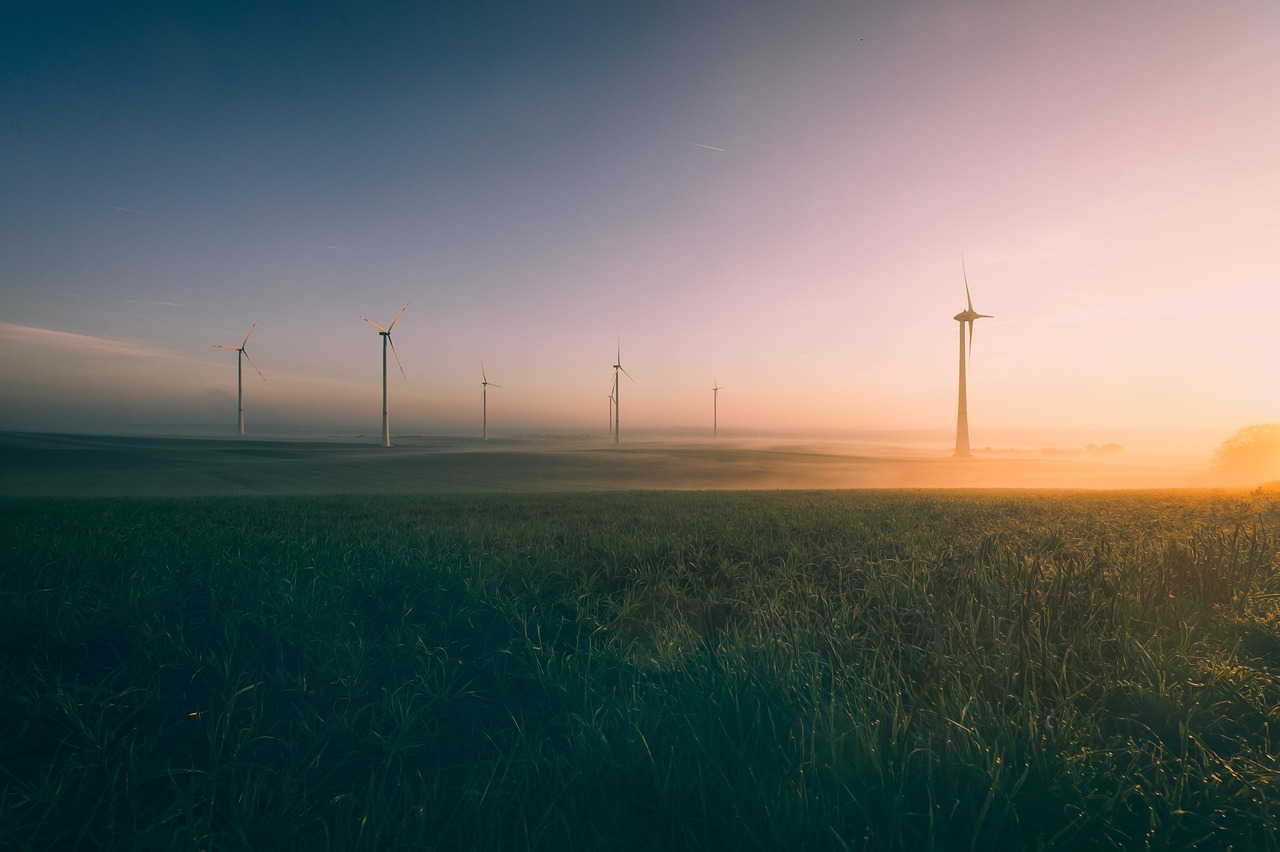découvrez l'importance de la protection de l'environnement, les enjeux écologiques actuels et les actions que chacun peut mener pour préserver notre planète. informez-vous sur les initiatives durables et les solutions pour un avenir respectueux de la nature.