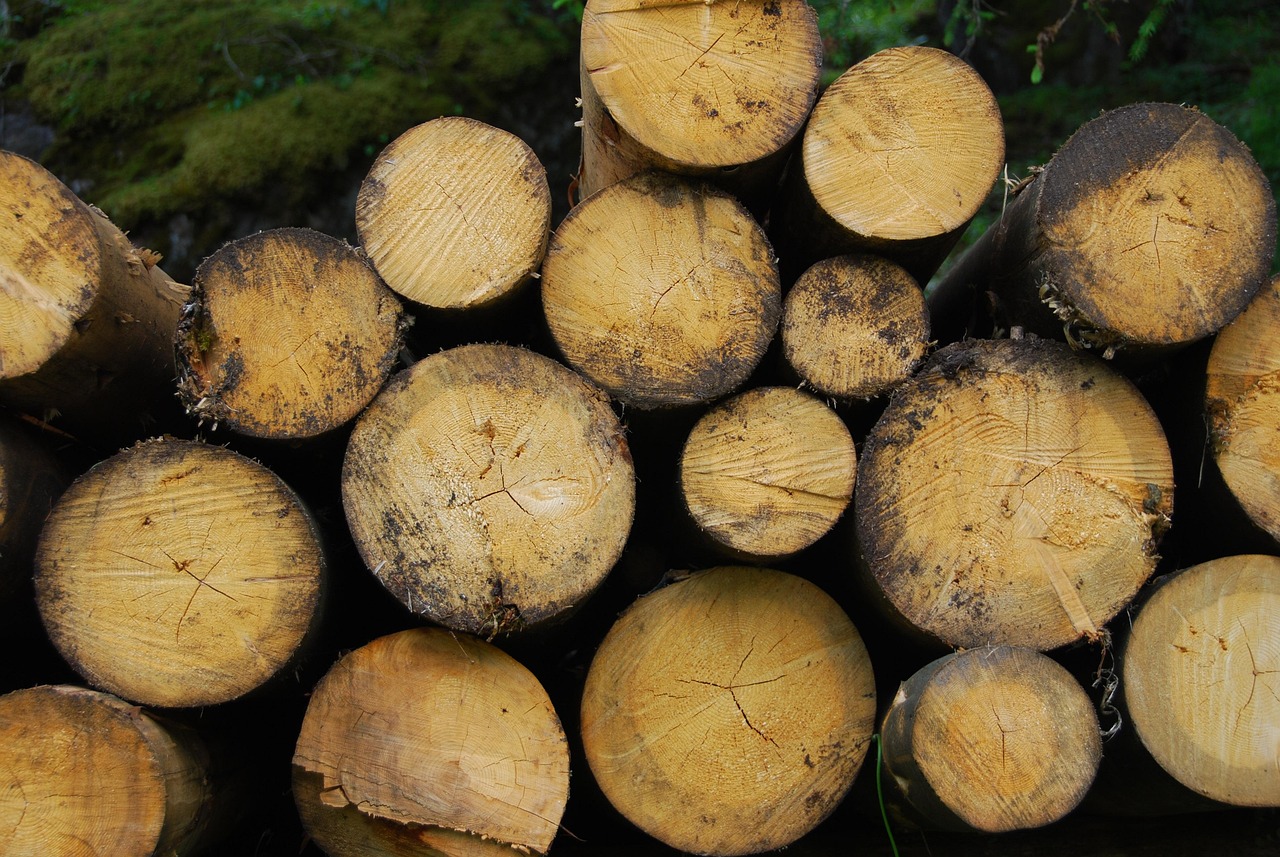 découvrez ce qu'est la biomasse, son rôle dans la production d'énergie renouvelable, ses avantages pour l'environnement et comment elle contribue à la transition énergétique durable.
