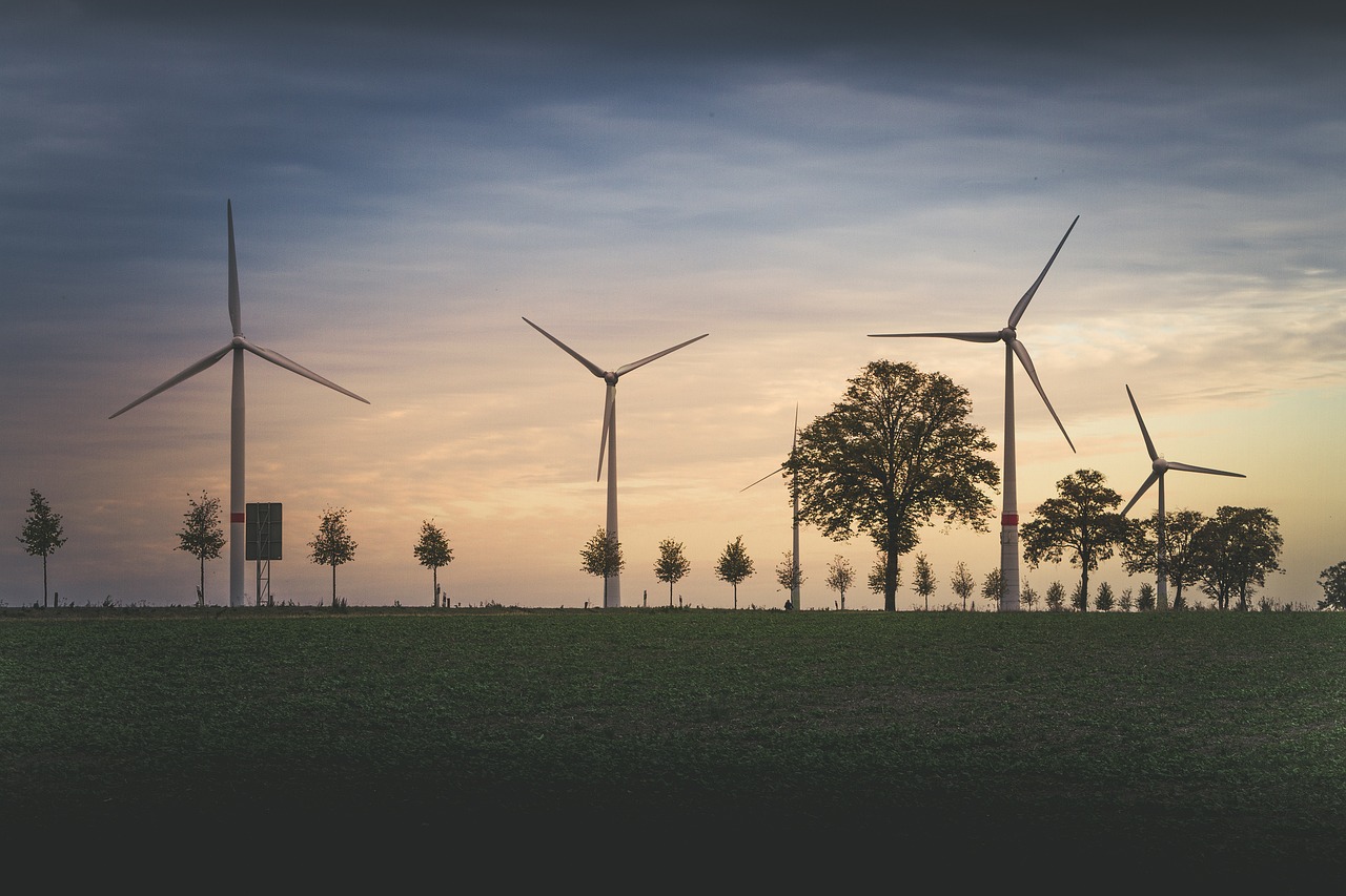 découvrez notre engagement environnemental : des actions concrètes et durables pour protéger la planète, réduire notre empreinte carbone et promouvoir un avenir écologique.