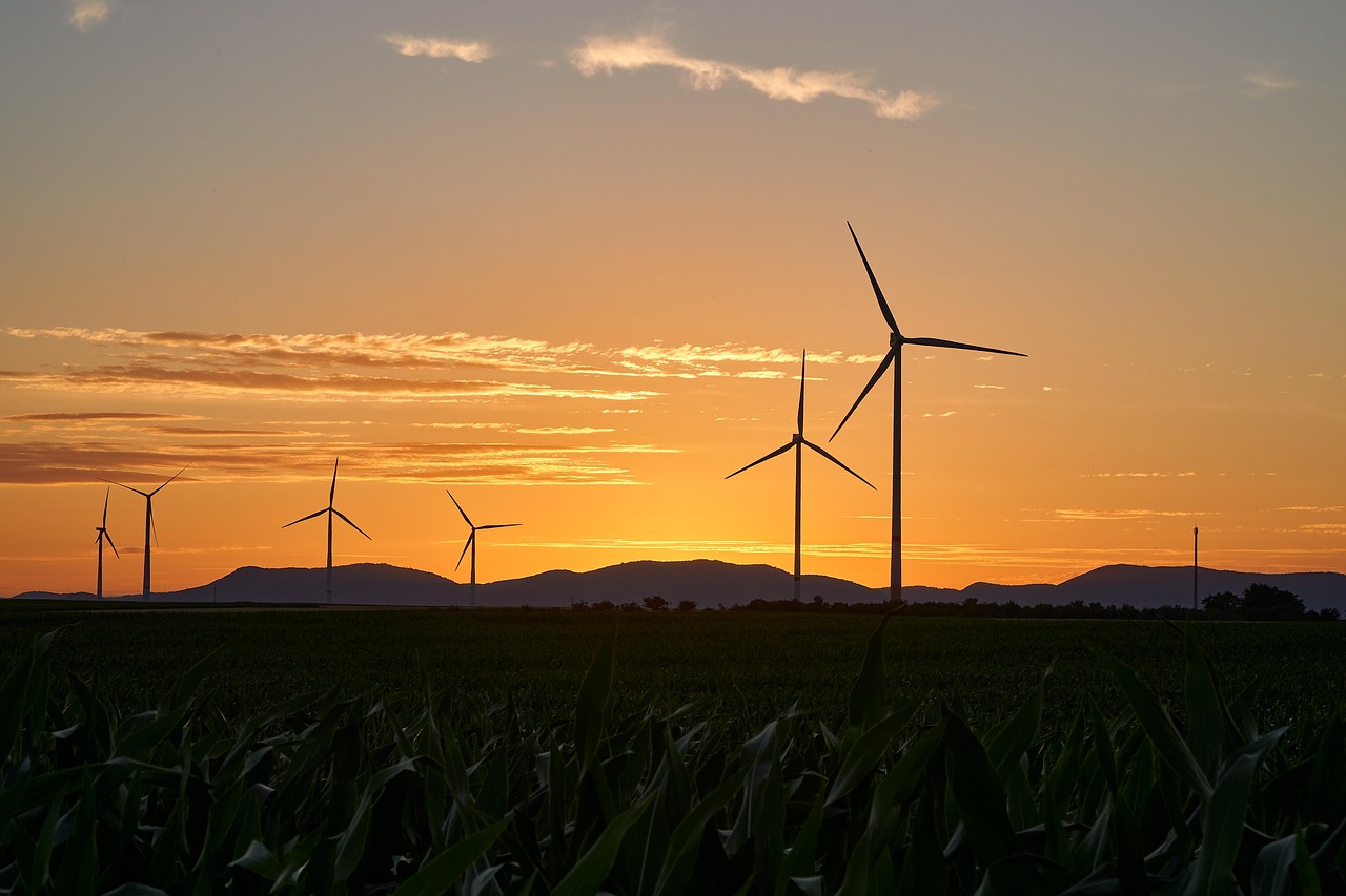 découvrez comment adopter un mode de vie durable grâce à des pratiques respectueuses de l'environnement et des ressources naturelles, pour un futur plus responsable et éthique.