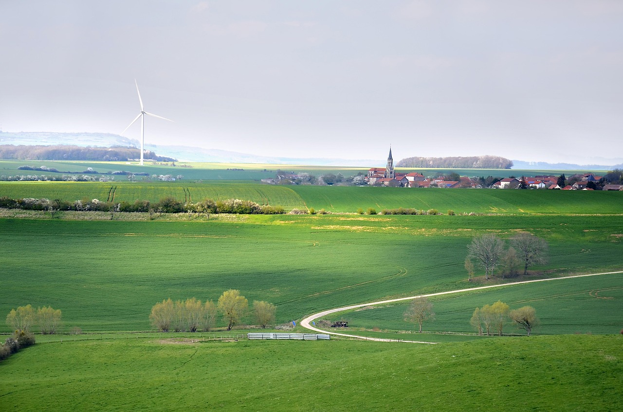 découvrez ce qu'est le développement durable, ses principes fondamentaux et son importance pour préserver l'environnement tout en favorisant la croissance économique et l'équité sociale. adoptez des solutions responsables pour un avenir meilleur.