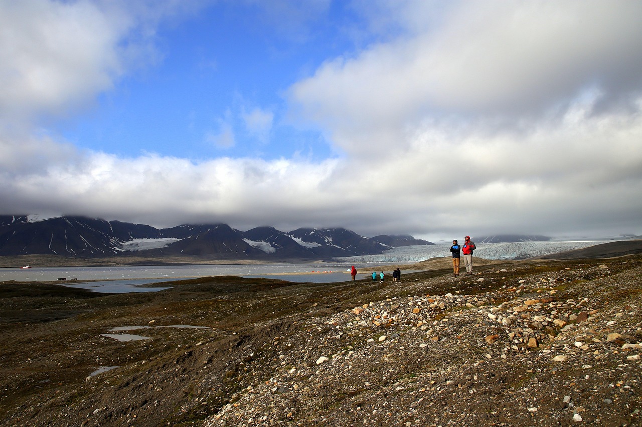 découvrez ce qu'est le permafrost, ses caractéristiques, son rôle dans les écosystèmes et les enjeux liés à sa fonte en raison du réchauffement climatique.