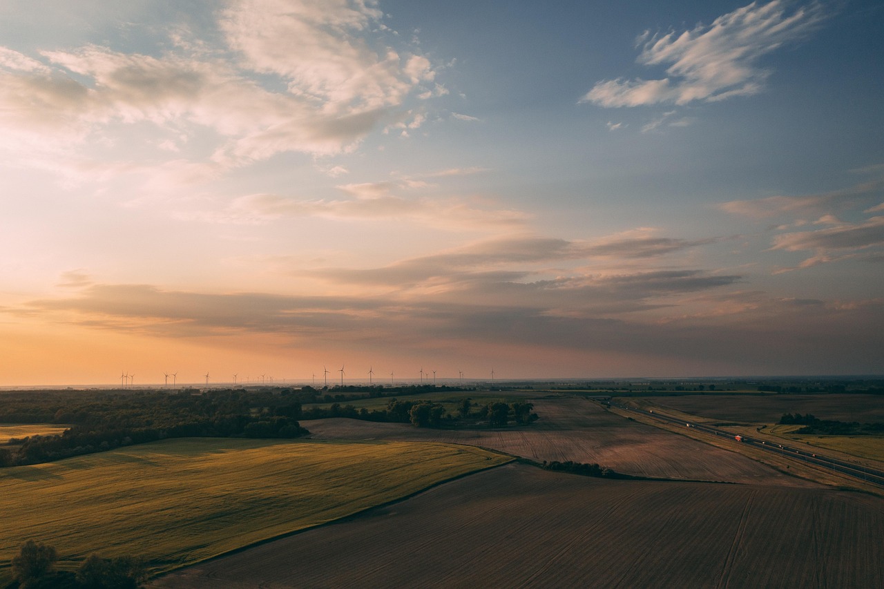 découvrez comment la durabilité transforme les pratiques environnementales, économiques et sociales pour un avenir plus responsable et respectueux de la planète.
