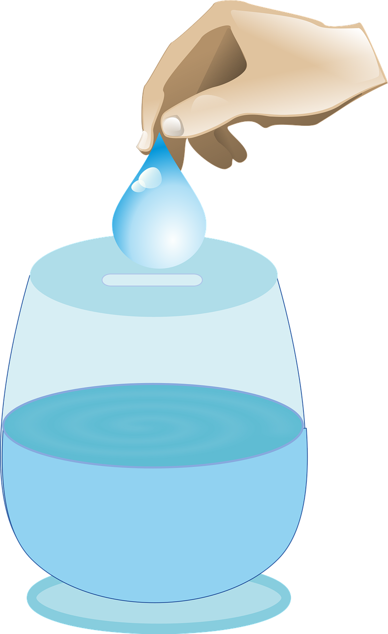 découvrez les meilleures pratiques pour la conservation de l'eau et apprenez comment préserver cette ressource précieuse au quotidien.