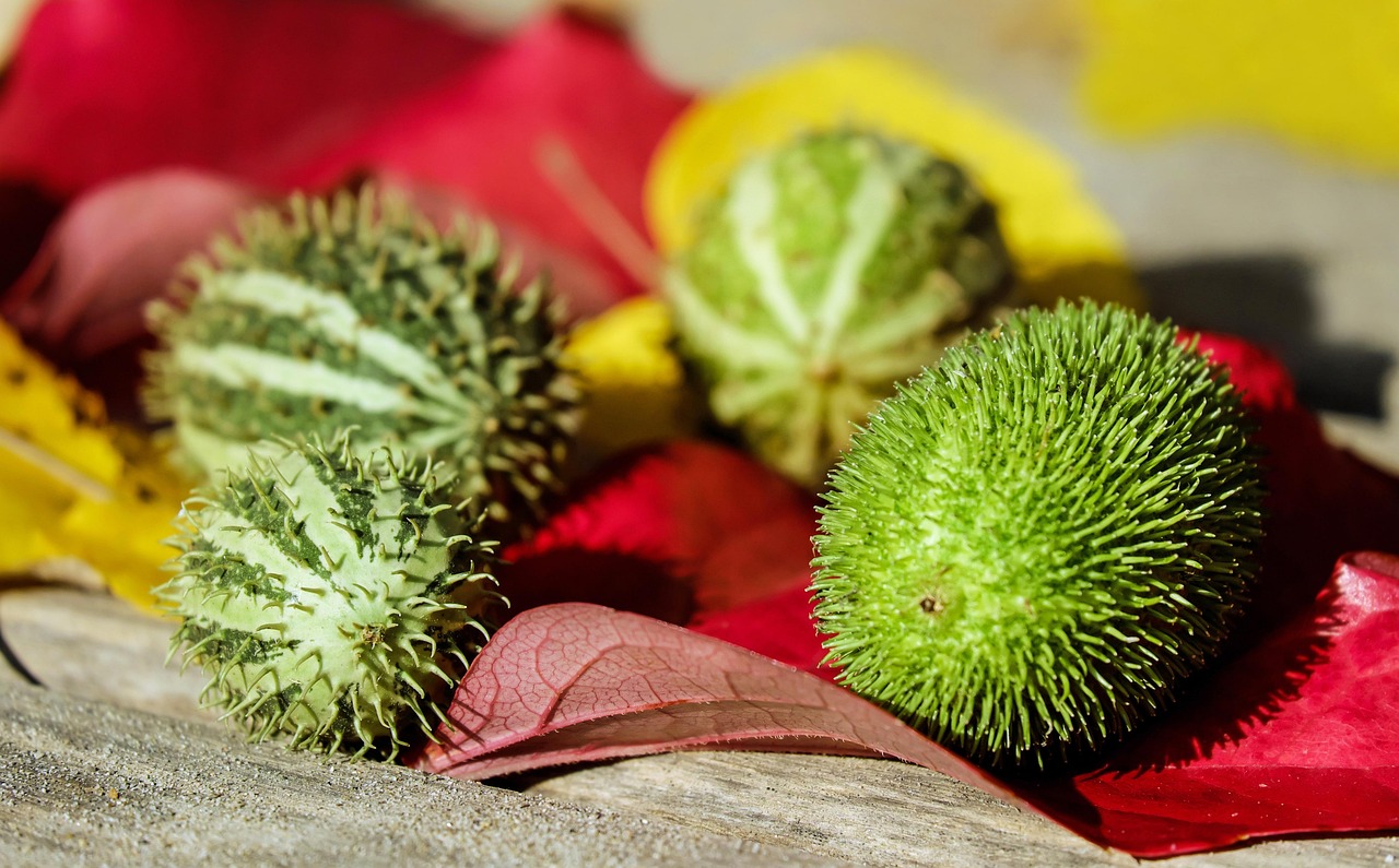 d&eacute;couvrez des pratiques de consommation responsables pour r&eacute;duire votre impact environnemental et promouvoir un mode de vie durable.