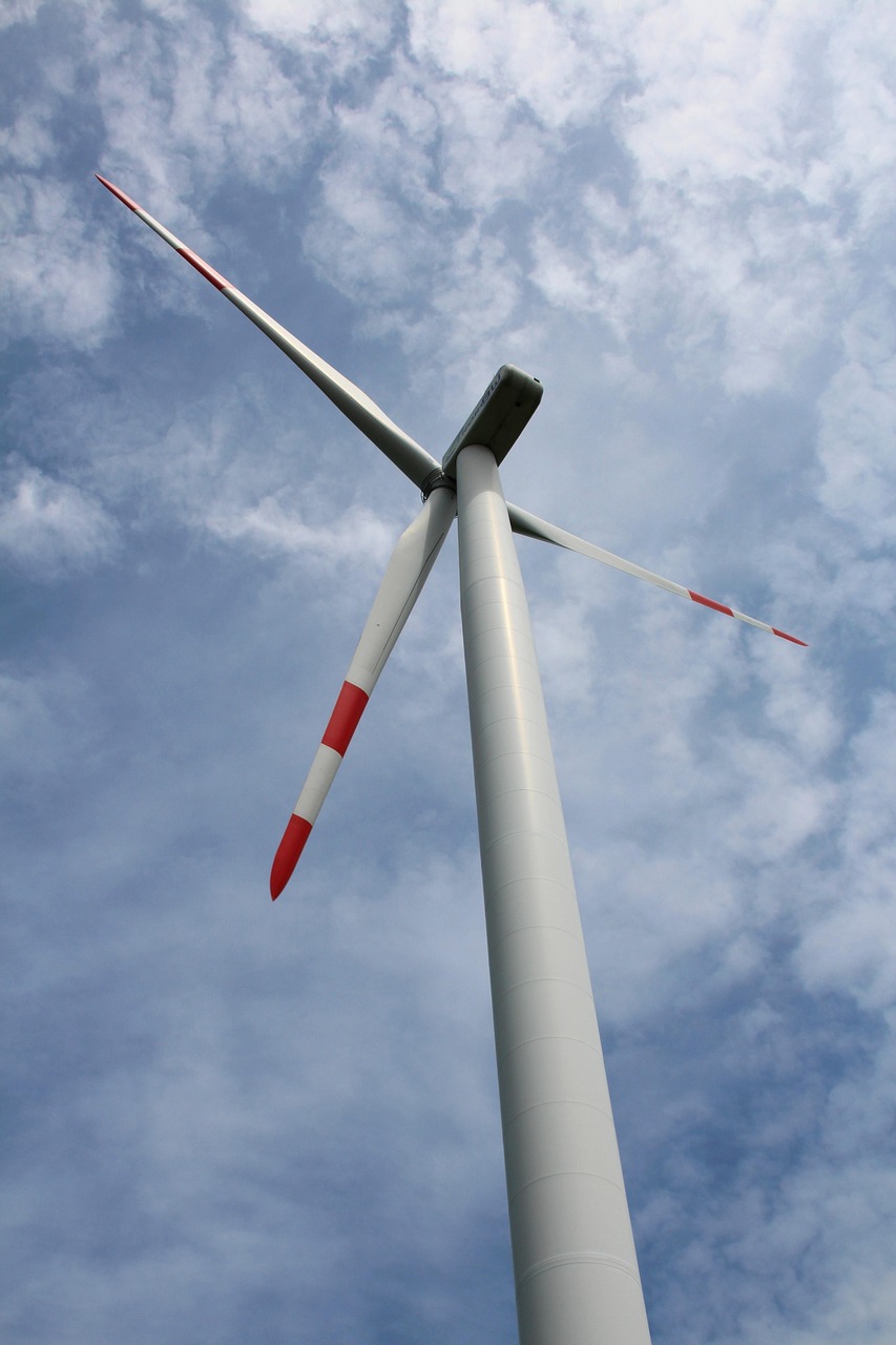 d&eacute;couvrez les enjeux et solutions de la transition &eacute;cologique pour un avenir durable et respectueux de l'environnement.