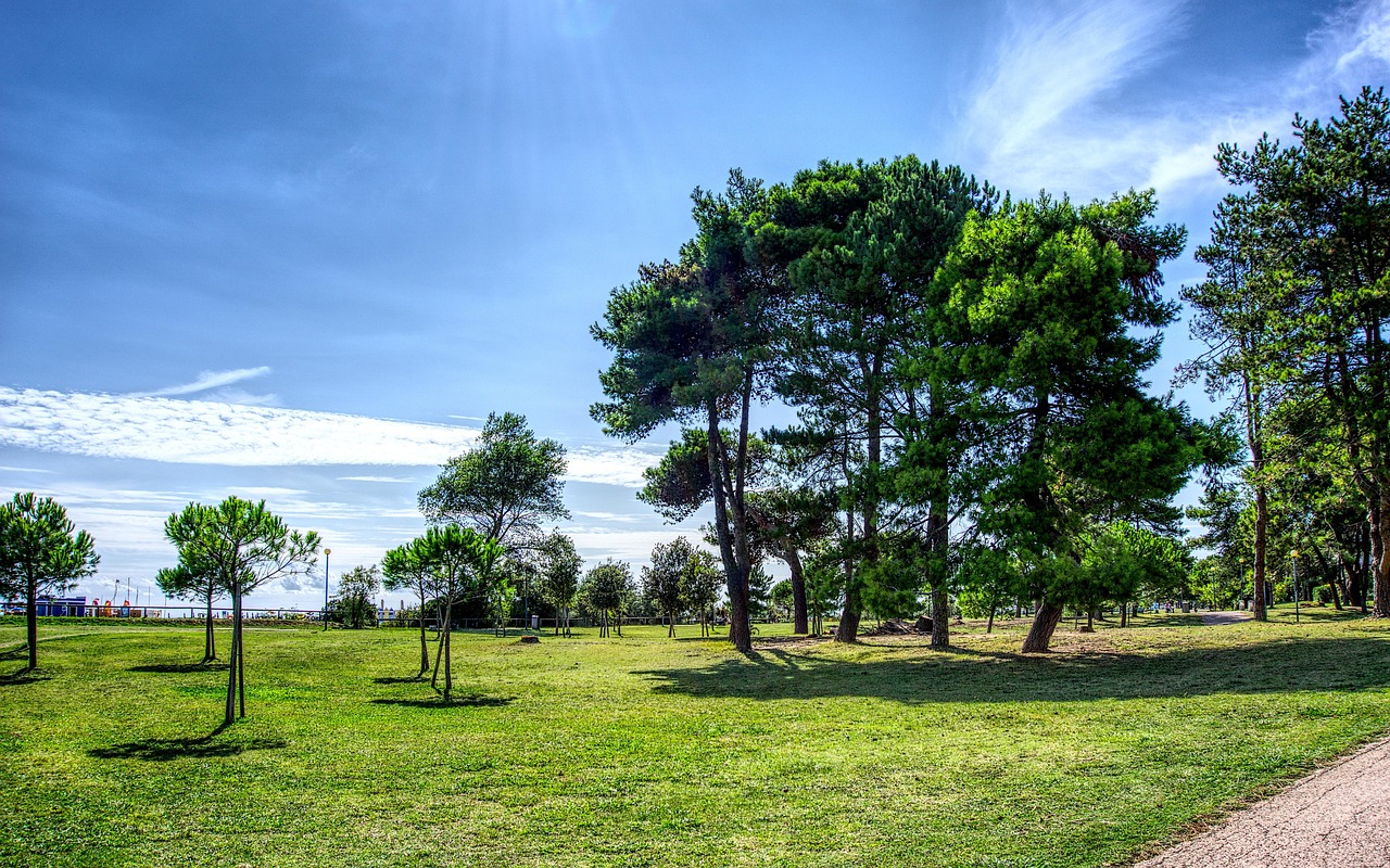 explorez les dynamiques des arbres et des paysages, comprenant leur croissance, &eacute;volution et interactions &eacute;cologiques pour mieux comprendre l'environnement naturel.