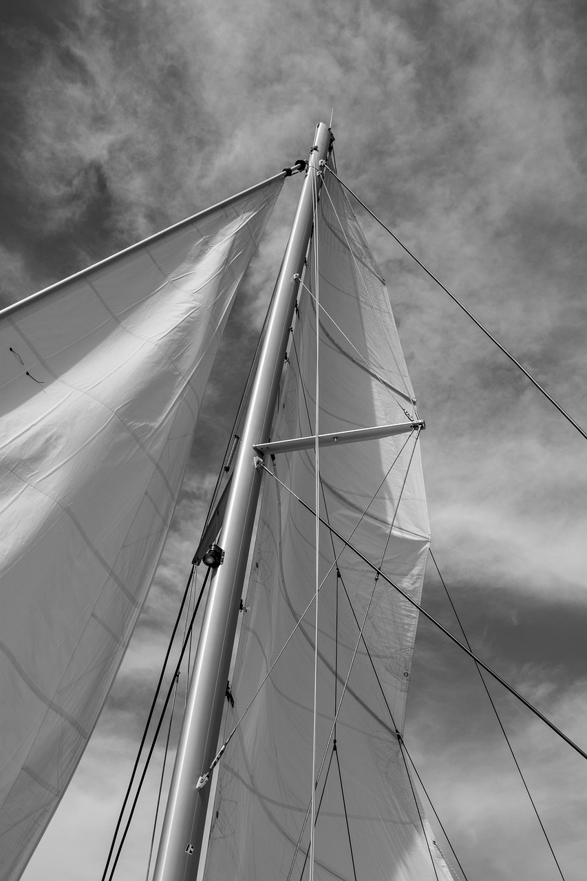 d&eacute;couvrez le plaisir de naviguer en catamaran, un bateau spacieux, stable et id&eacute;al pour des balades en mer, des croisi&egrave;res familiales ou des aventures entre amis.