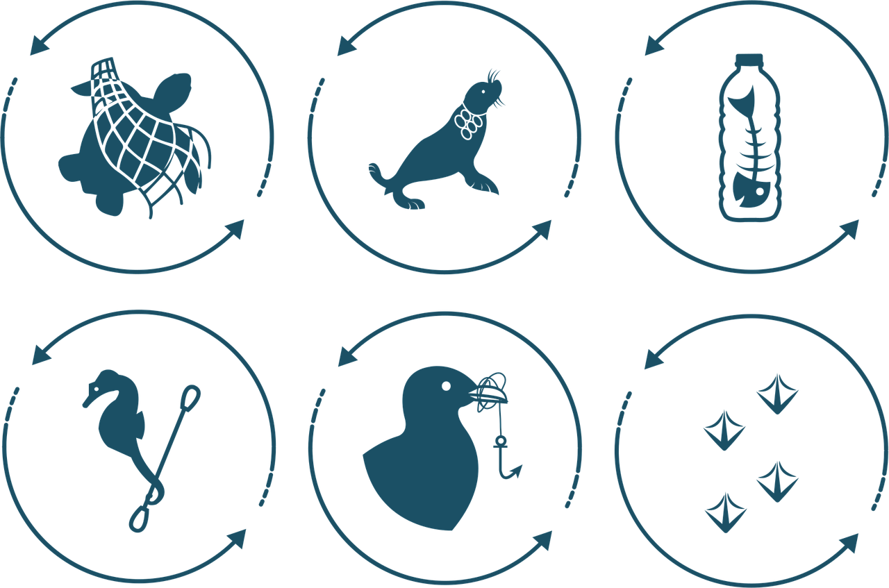 d&eacute;couvrez les enjeux et solutions li&eacute;s au plastique contamin&eacute;, un d&eacute;fi majeur pour l'environnement et le recyclage durable.